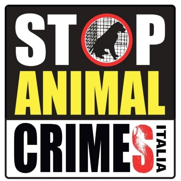 Stop Animal Crimes Italia – Torino e Provincia